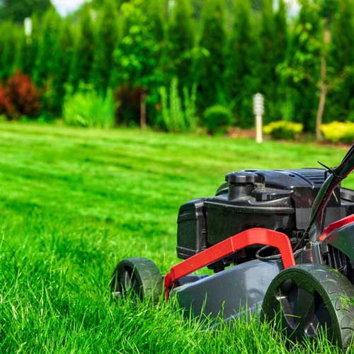 Grass Cutting Services
